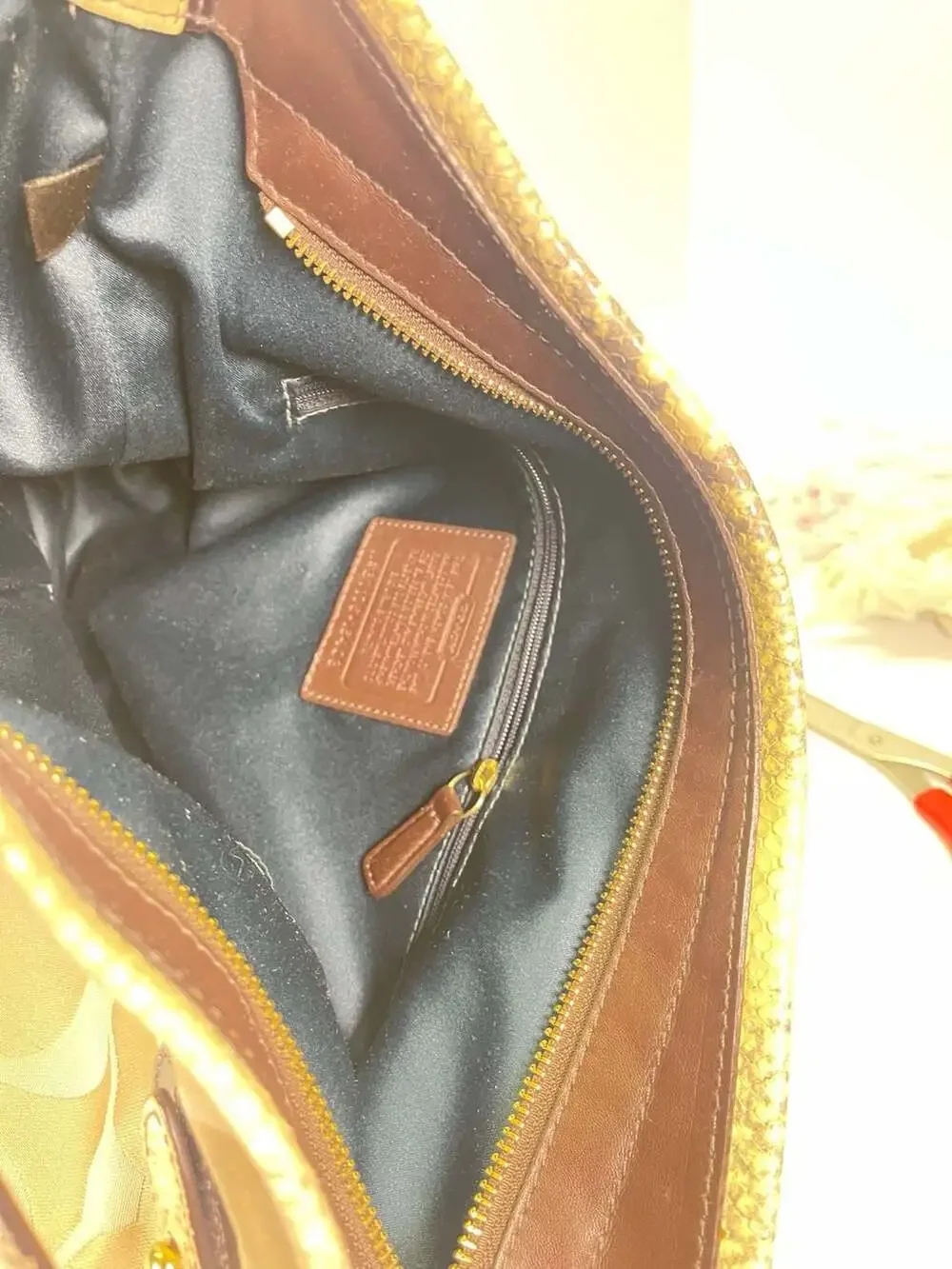 Coach Signature‎ C Hobo Bag with Snakeskin Trim 16408